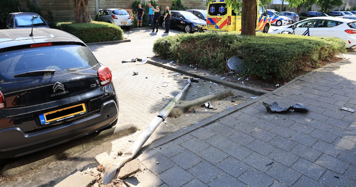 Automobilist richt ravage aan in Den Hoorn