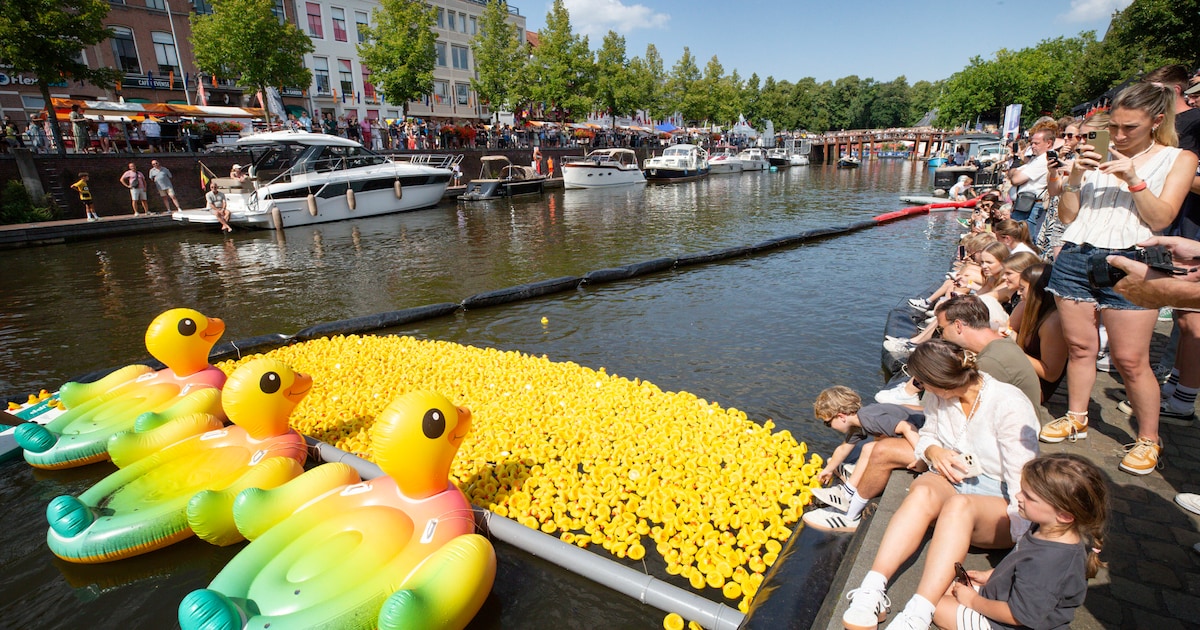Havenfeesten Breda met onder meer Havenspelen, Badeendenrace en livemuziek