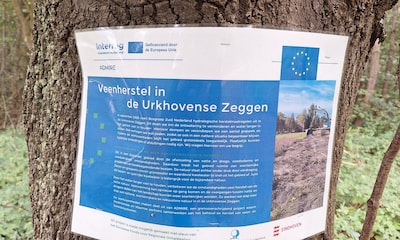 In Geldropse wijk Hulst vrezen bewoners schimmel en scheuren, toch moeten ze volgens Eindhoven ergen