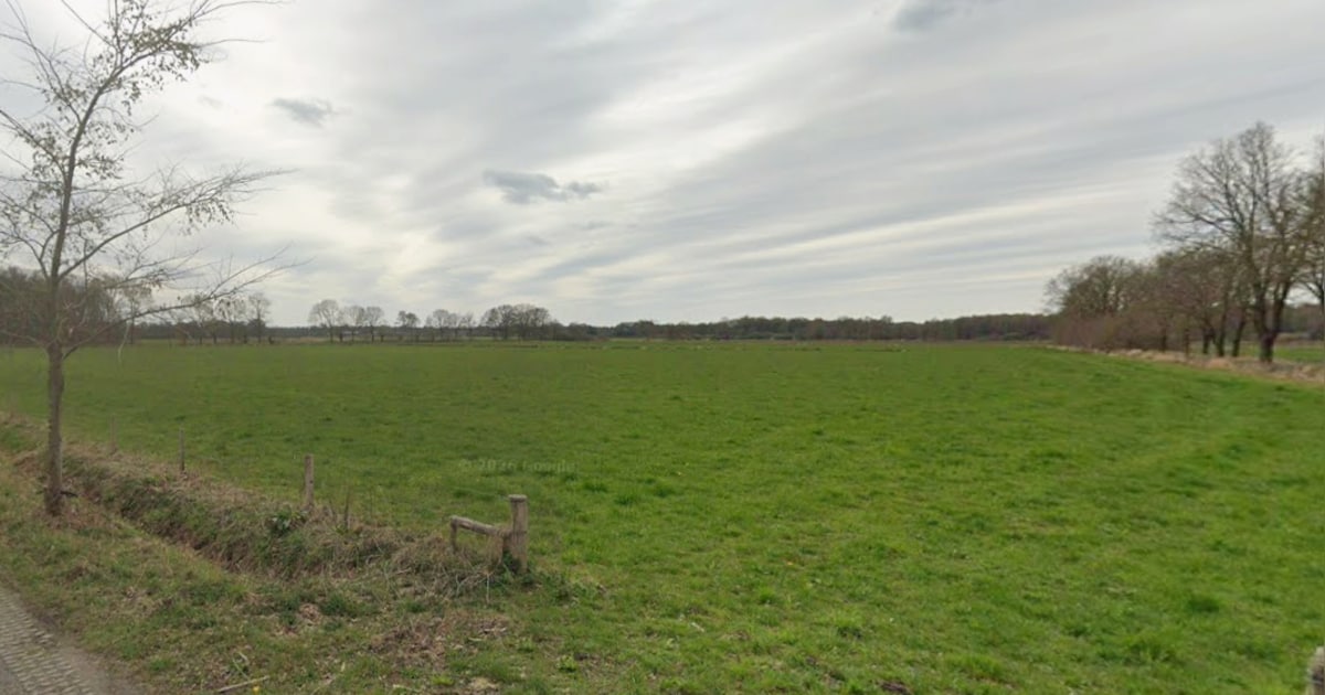 Open dag in Vessem laat vernieuwing van beekdal Kleine Beerze zien