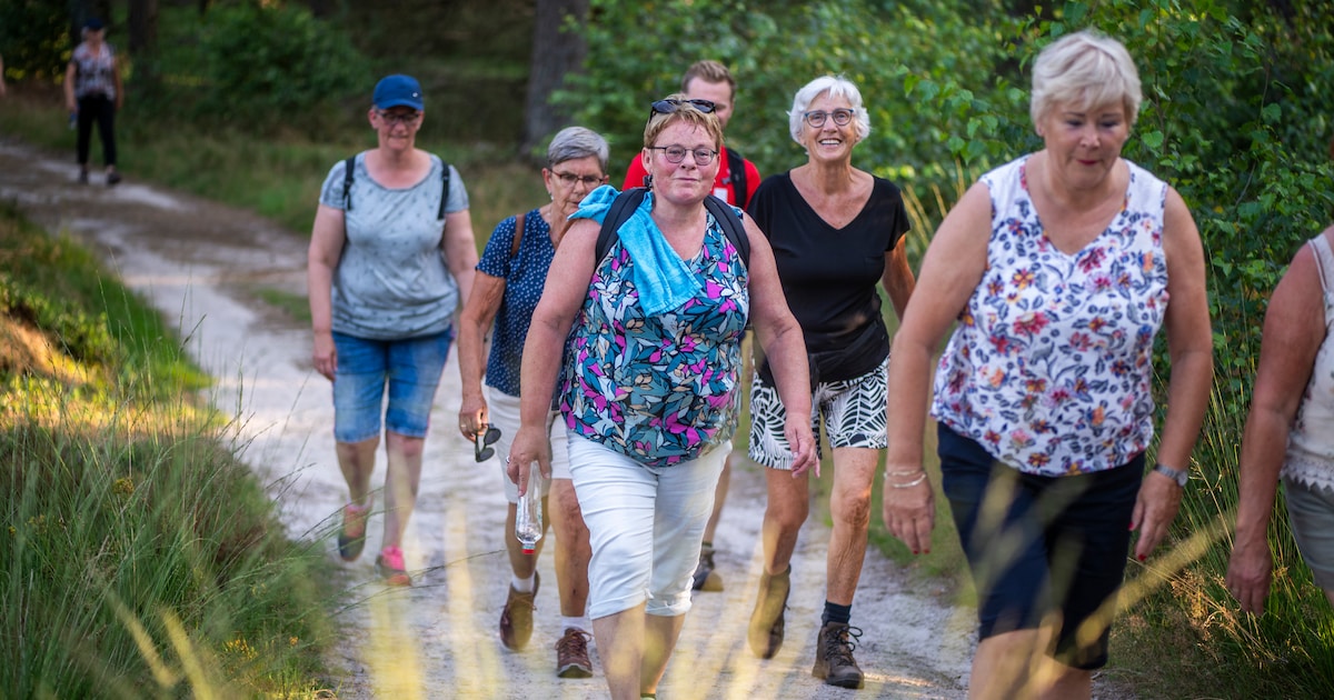 Raalte Wandel Challenge begeleidt startende wandelaars en mensen met chronische aandoeningen