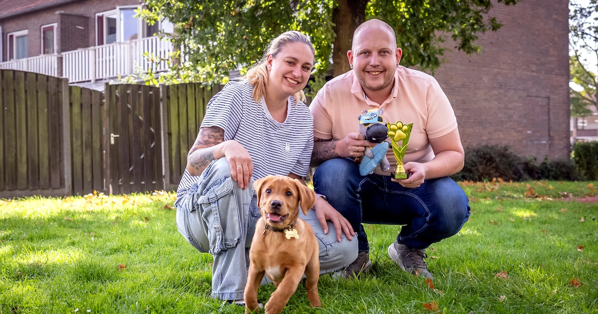 Puppy Milo verovert harten van lezers en wint Dierendagverkiezing: ‘Dit hadden we niet verwacht’
