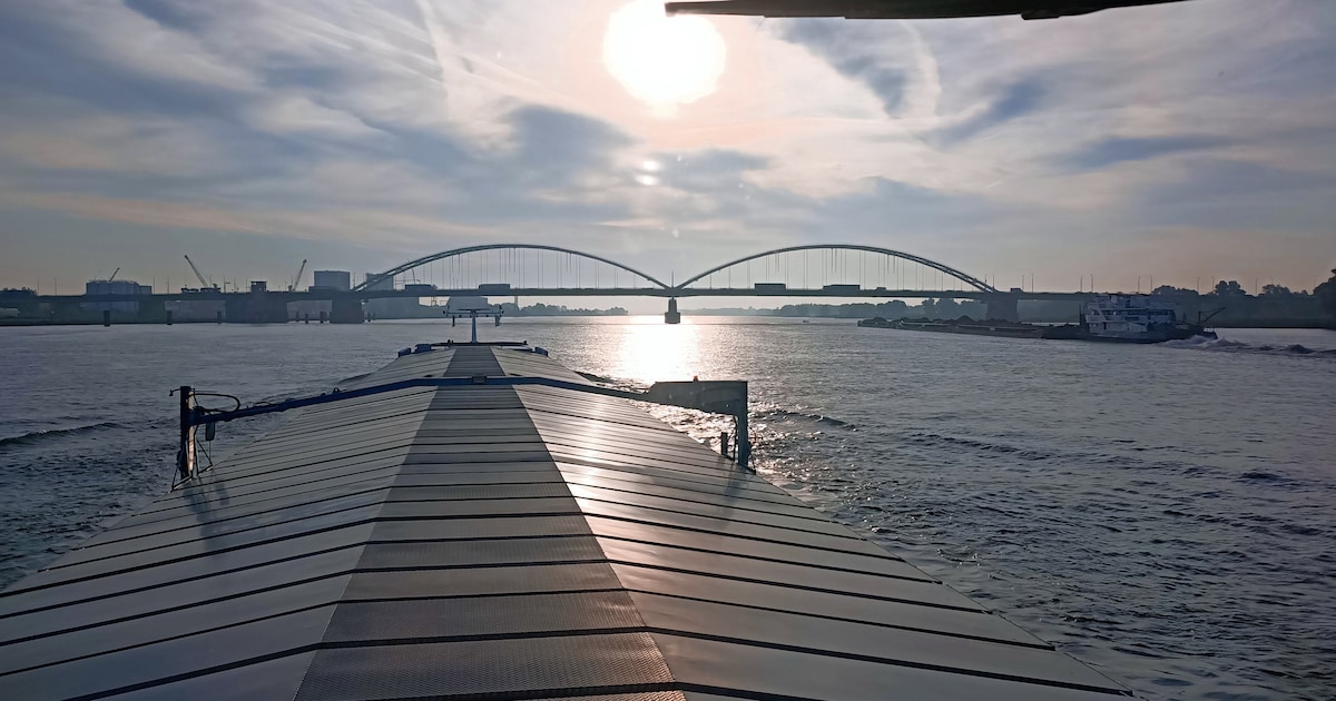 Drukke rivier verandert in bouwkuip voor gloednieuwe bruggen, wat betekent dat voor schepen? ‘Ingrij