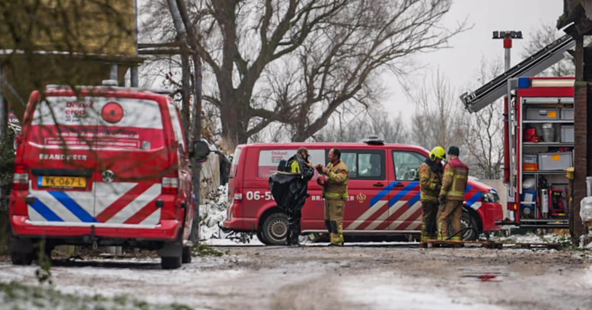 Brandweer ingezet nadat koeien in put zakken in Didam
