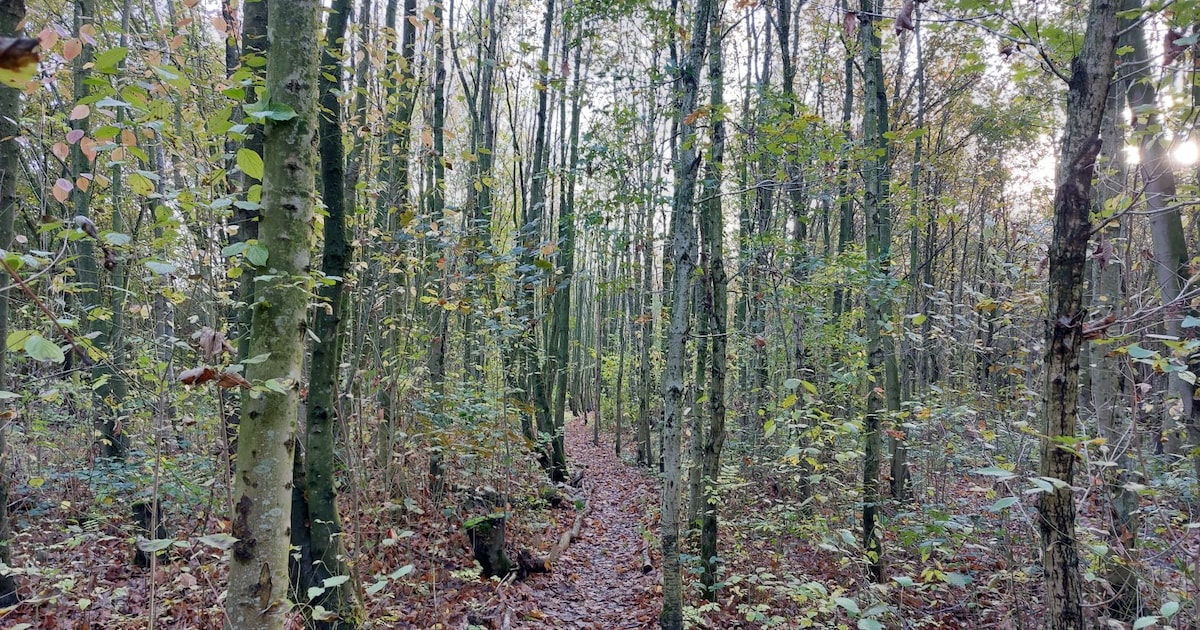 Nieuwe afspraken over beheer en ontwikkeling Bentwoud