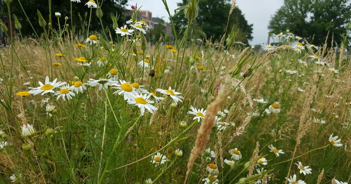 Klimaatweek Druten met gratis activiteiten