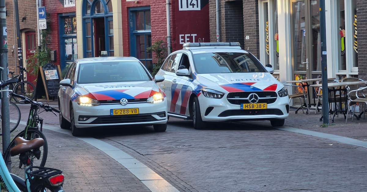 Mogelijke steekpartij in Wageningen, één persoon aangehouden