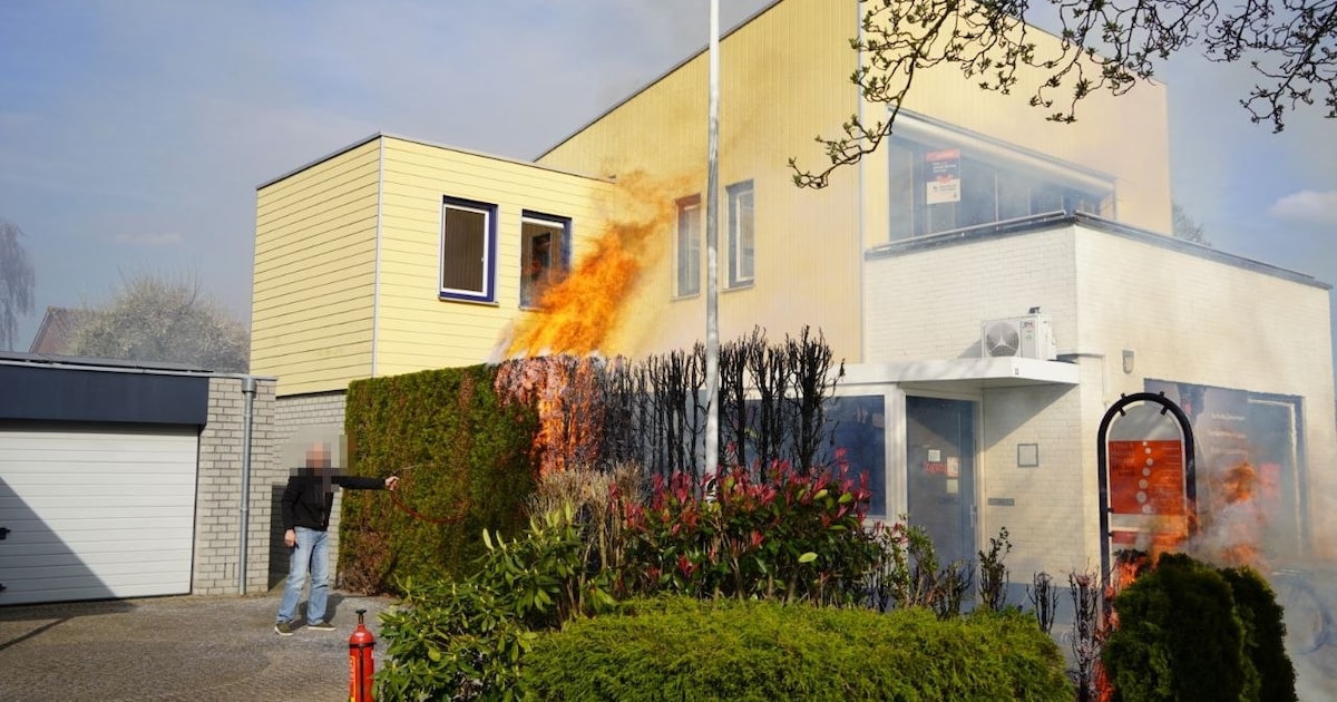 Onkruidbranden loopt uit de hand: heg in brand in Hasselt