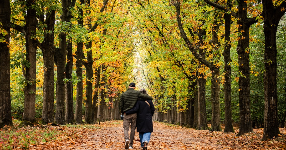 Gratis wandeling tegen Blue Monday in Drachten