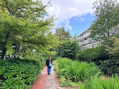 Find peace in the big city at these 5 gardens