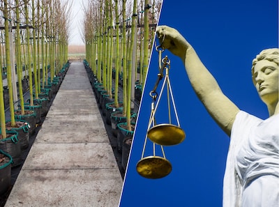 Boeren mogen schimmelbestrijder Pitcher niet meer gebruiken: middel had nooit toegelaten mogen worde