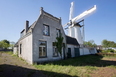 Image related to the article