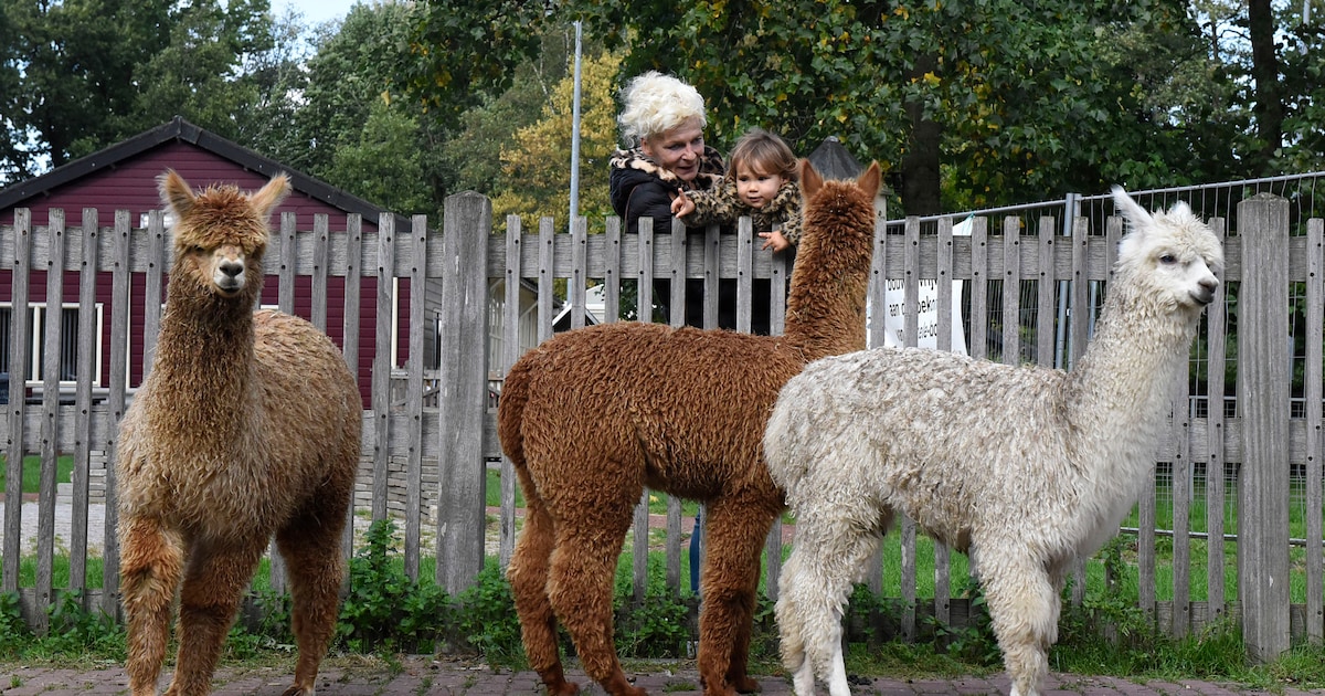 Dierenweide trekt aan de bel over twee duizendjes, dit is waarom