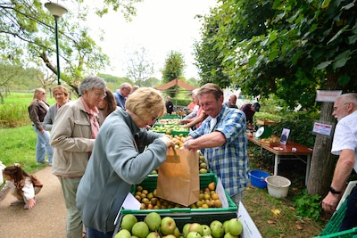Stadspark Bredius in Woerden opgeknapt, maar nog lang niet af: ‘Bredere paden en gezondere appelbome