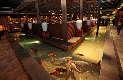 Alles uit failliet all you can eat-restaurant Watertuin in Spijkenisse wordt geveild, zelfs de koikarpers