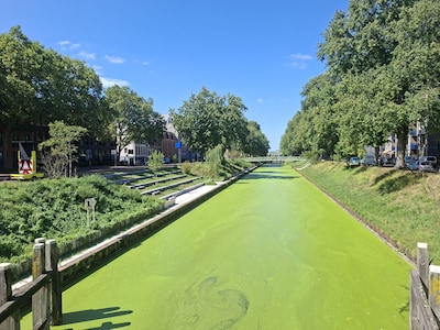 Hoe kan dat nou? Dit kanaal is plotseling felgroen: ‘Dit valt niet te verwijderen’