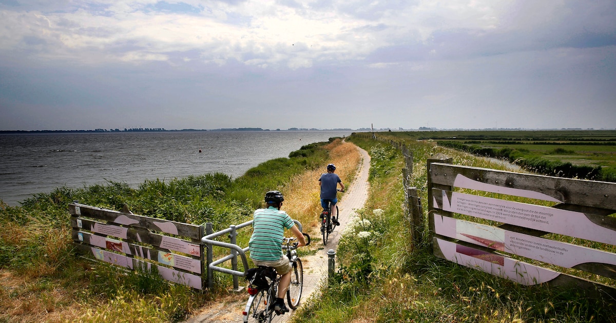Nieuwe leefgebieden voor migrerende vissen aangelegd in Noordkop