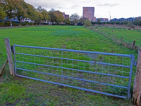 De Groene Zoom in Hooglanderveen