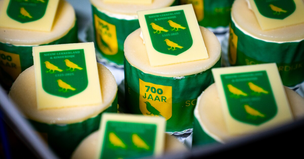 Orkestleden gezocht voorstelling over 700 jaar Nieuw-Lekkerland en Kinderdijk | Molenlanden