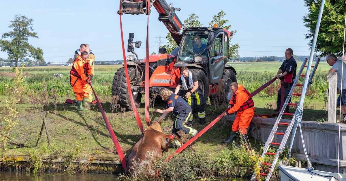 Boer schiet brandweer te hulp bij reddingsactie van paard in water nabij Nijelamer