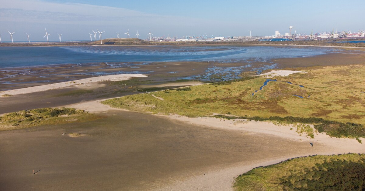 Ontdek Oostvoorne wandelend en lunchend tijdens Walking Christmas Lunch | Voorne aan Zee