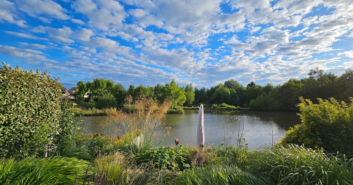 Provincie hervat natuurontwikkeling in onder anderen Het Hol en Ster van Loosdrecht