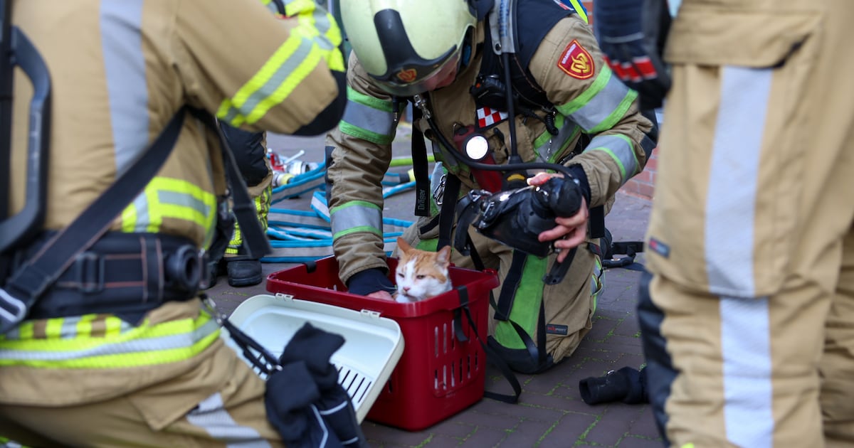 Benauwde momenten bij brand in Zeister appartement: brandweer dient kat zuurstof toe