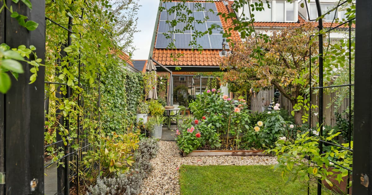 TipTop Tuinendag in Diemen: inwoners helpen met snoeien en maaien