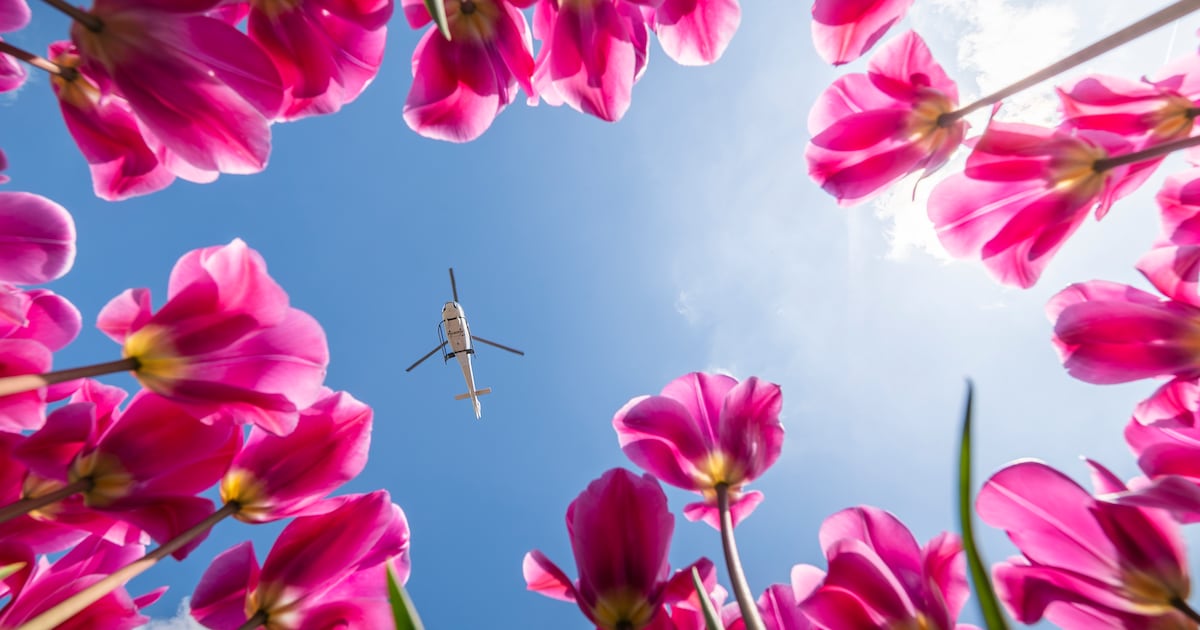 Van bos bloemen naar eigen kunstwerk: zomerse activiteit voor kinderen in Volendam