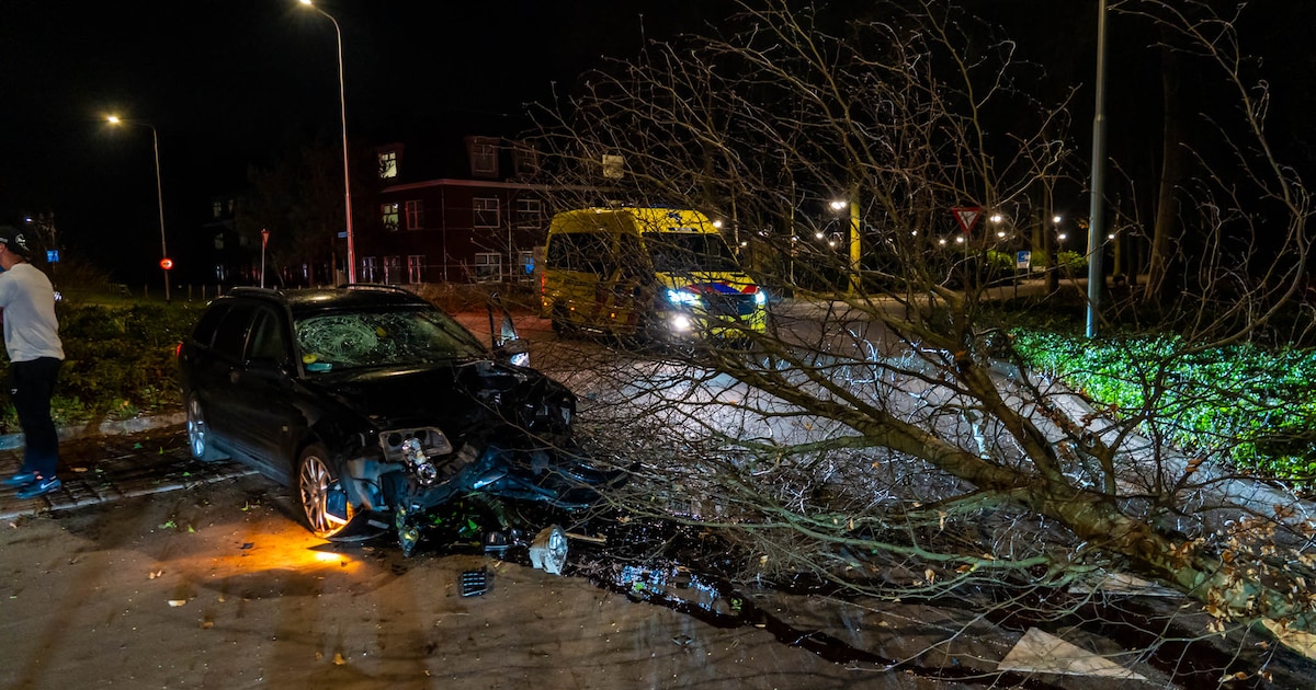 Man (45) rijdt zwaar onder invloed door Ermelo: enorme schade na botsing tegen boom