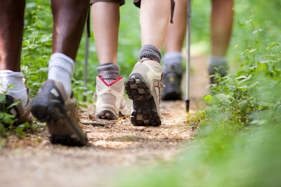Ochtendwandeling in Rozendaal: fit naar je werk