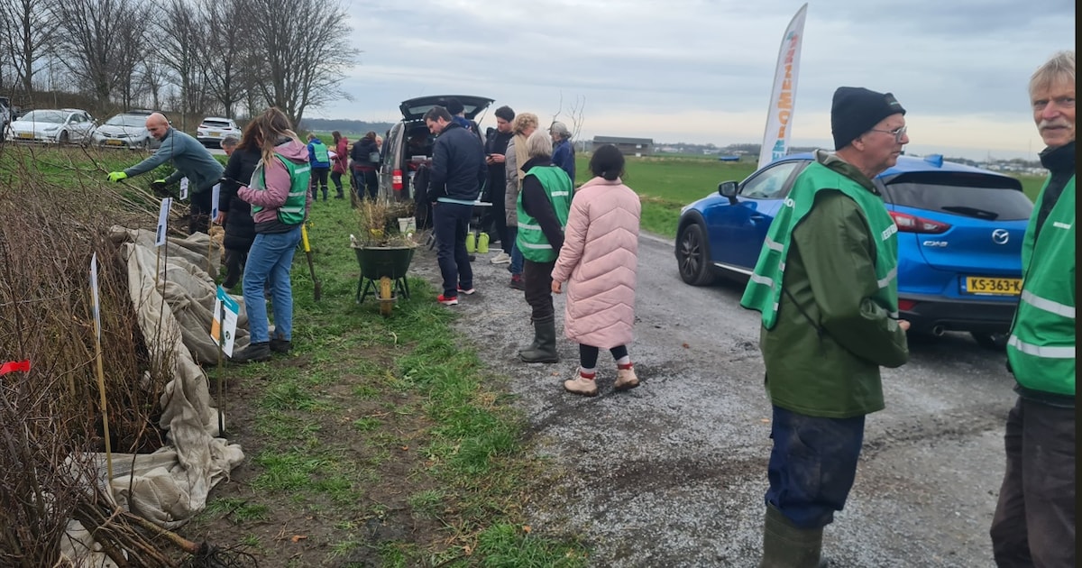 Gratis bomen ophalen in Hoofddorp en Heemstede