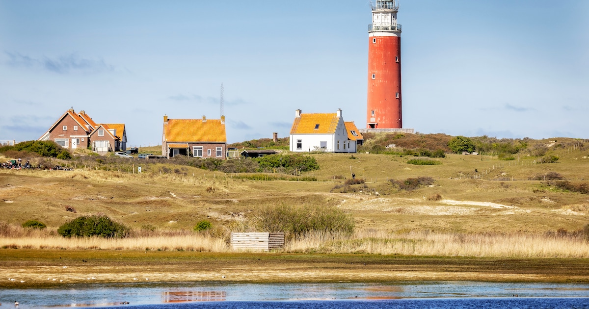 Schapenboeten zien? Ontdekkingstocht door 'karakteristieke' landschappen van Texel