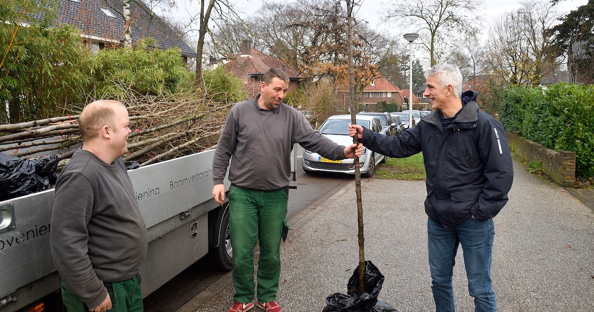 Gratis een boompje halen bij de gemeente? Dan moet je goed weten wat voor bodem je tuin heeft