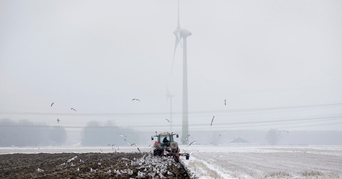 Waddinxveense boeren wel te porren voor windmolens in de polder: ‘Beter voor onze bestaanszekerheid’