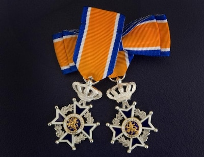 Eén ridder en tien andere koninklijke spelden in Bernheze: bekijk ze hier