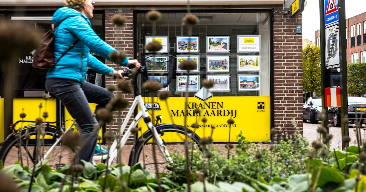 Jan Modaal heeft in Schiedam minder woningen om uit te kiezen: veertien vallen er binnen budget