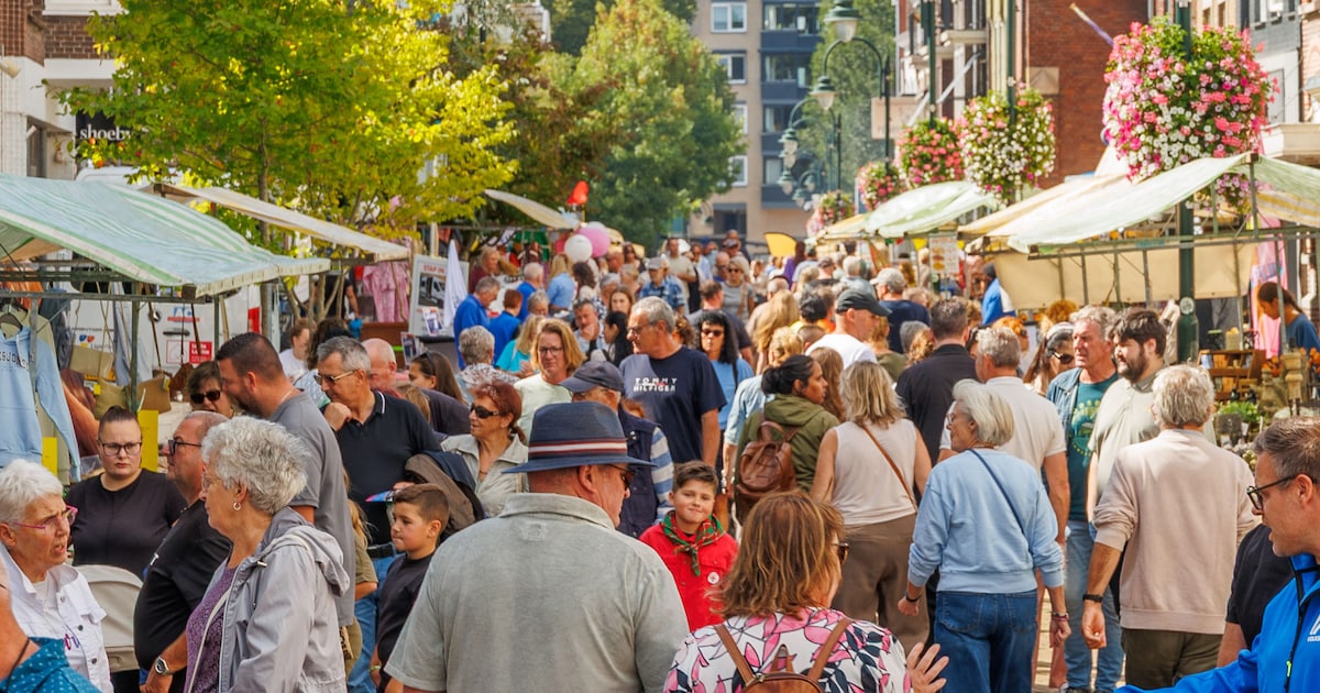 Spot jij de mysteryguests? Dit kun je verwachten tijdens de Rode Loper Dag in Coevorden