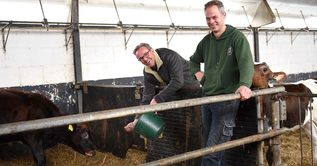 Columnist Dennis en boer Jaco in gesprek over Koeiemart: ‘Betwijfel of koeien hier over vijf jaar no
