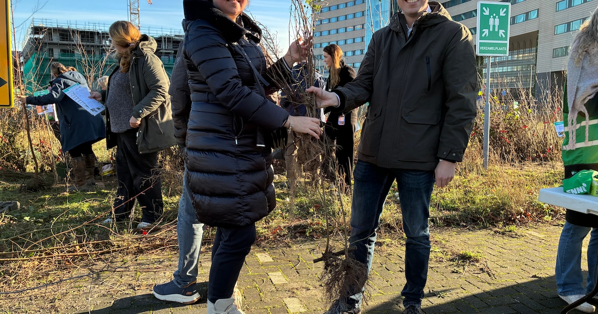 600 jonge plantjes krijgen een tweede kans in Capelse tuinen