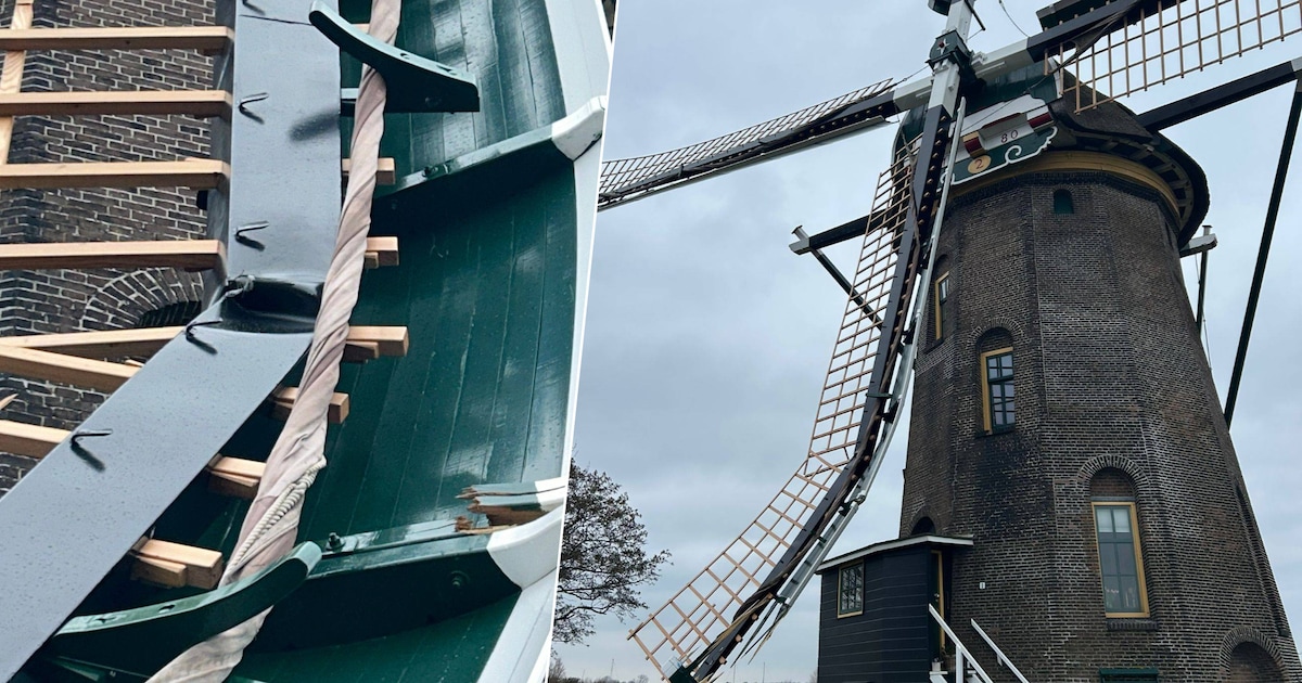 Vrachtwagen stopt niet voor draaiende molen, wieken flink beschadigd: ‘Ze zaten er net twee maanden 