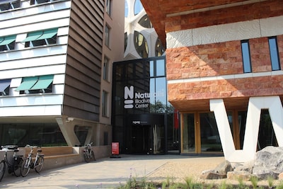 Weekendtips: deze dingen doe je in Leiden (1-3 mei)