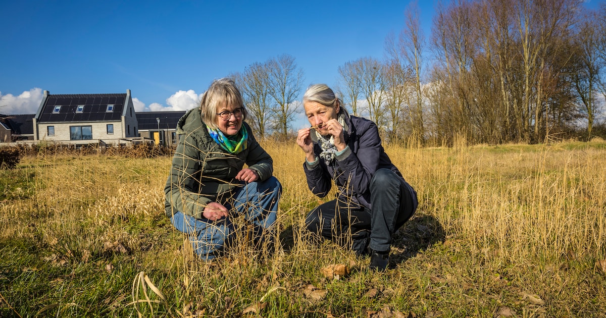 Initiatief Hattem Plukt! houdt volgende maand startbijeenkomst