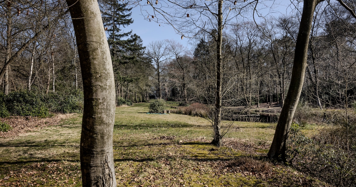 Wandeling langs het Roelands Venloopke in Kalmthout