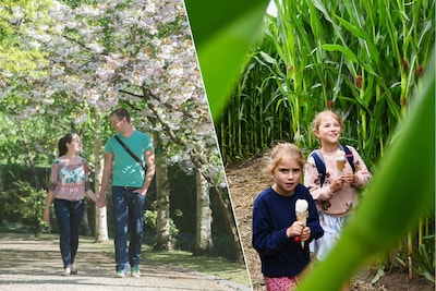 Met deze 7 tips in Limburg geniet je optimaal van de nationale feestdag