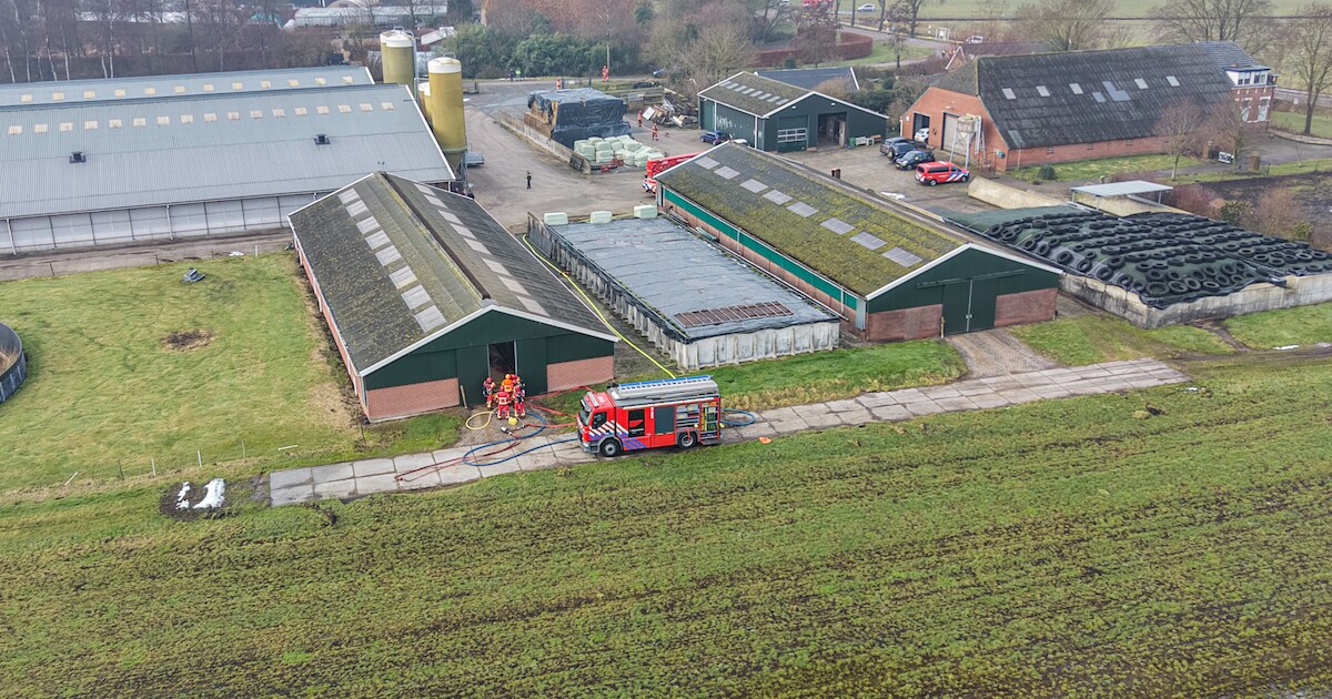 Brand in mestkelder van stal aan de Hoofdweg in Westerlee