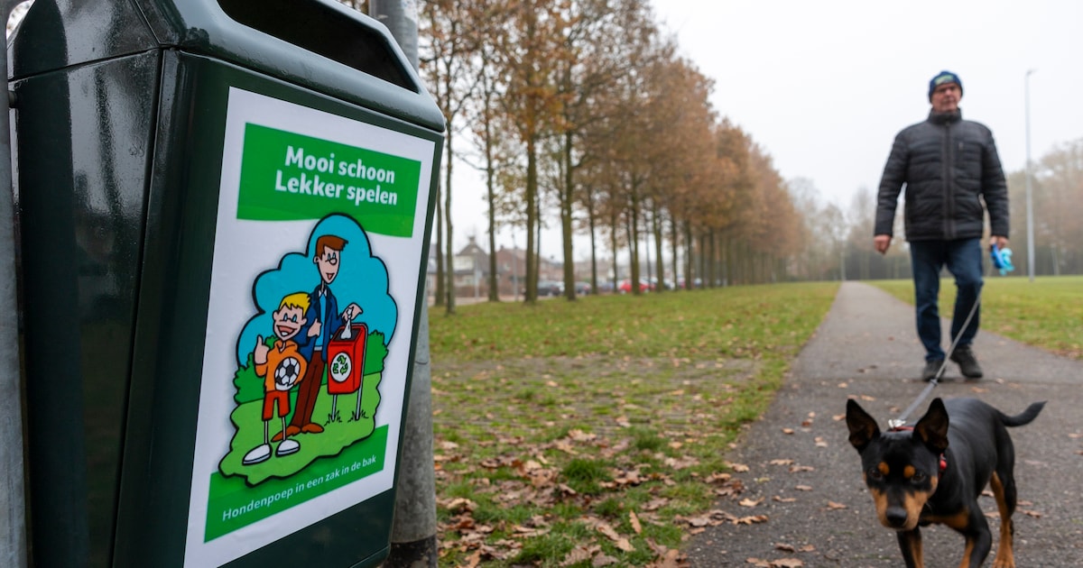 Zo pak je volgens onze lezers hondenpoepoverlast in Soest het beste aan