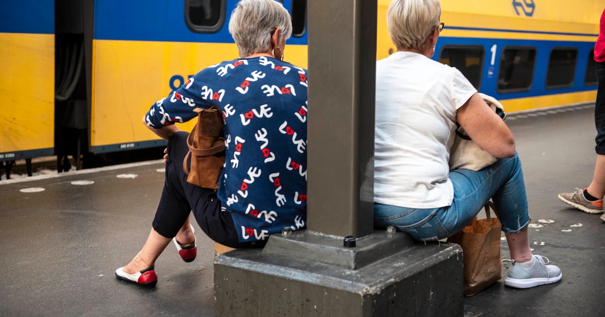 Treinreizigers opgelet: maandag en dinsdag minder treinen van en naar Schiedam