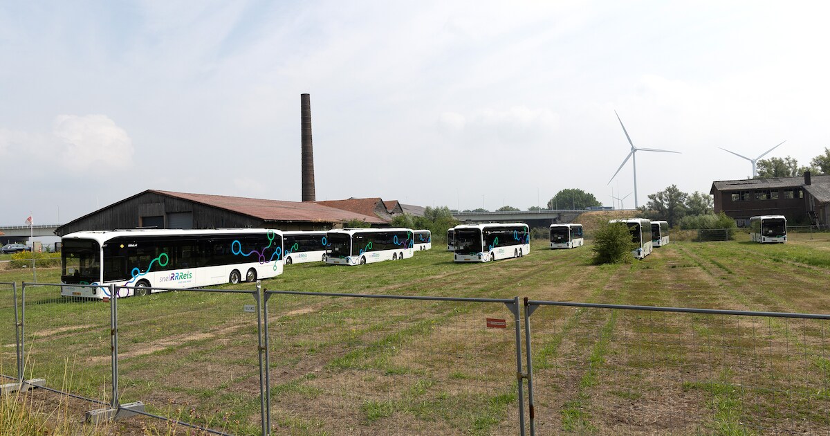 Bij steenfabriek langs IJssel duiken plots 15 gloednieuwe bussen op: ‘De reden is eigenlijk heel sim