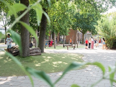 Image related to the article